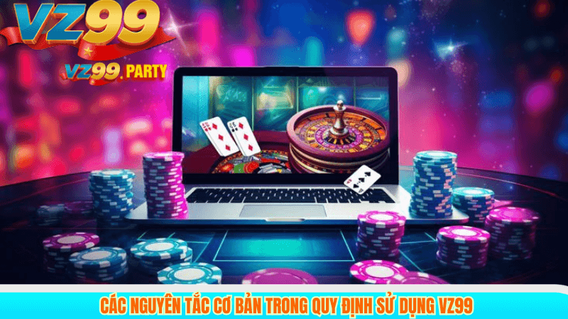 Các nguyên tắc cơ bản trong quy định sử dụng VZ99
