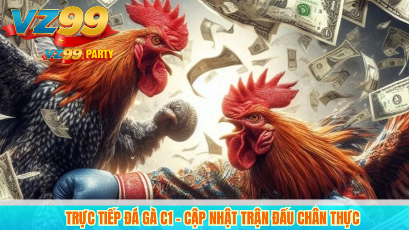 Trực tiếp đá gà c1 – Cập nhật trận đấu chân thực